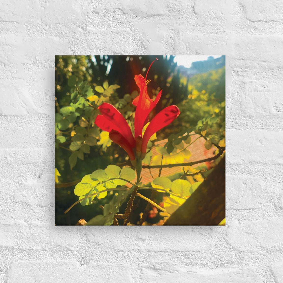 Flor de Jardín Canvas Print