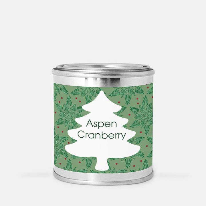 Aspen Cranberry Paint Can Candle